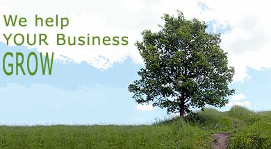 we help your business grow